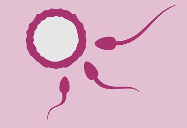 Γονιμότητα μετά τα 30 ~ Γυναικολόγος Dr Σαράφης Βασίλειος