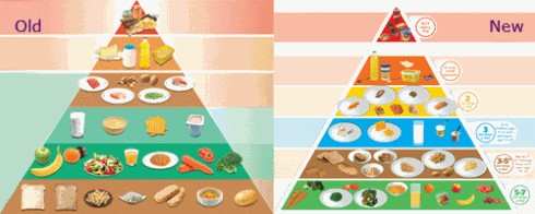 Διατροφή και Γονιμότητα ~ Εξωσωματική Θεσσαλονίκη & Λάρισα Dr Σαράφης - Διατροφική Πυραμίδα